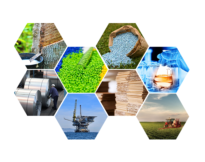 About Logisctic