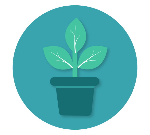 Plantations Icon